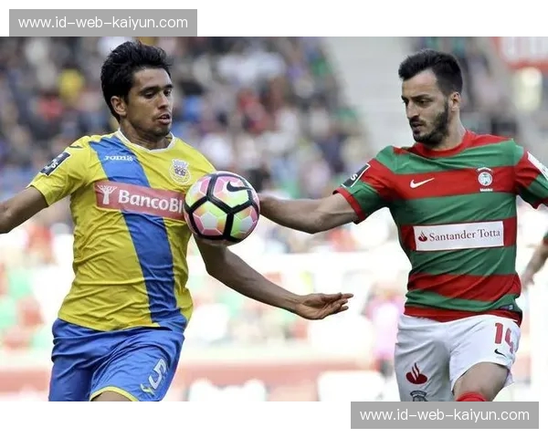 巨龙与海鸥的恩怨情仇：波尔图与马里迪莫的绿茵较量